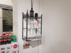 -净漪造型 PURE RIPPLE