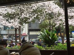 -玛格萝妮比萨屋(四平店)
