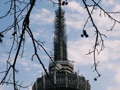 -岳麓山风景名胜区