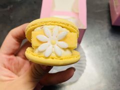 -好利来(乐堤港店)