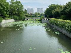 -蠡湖大桥公园