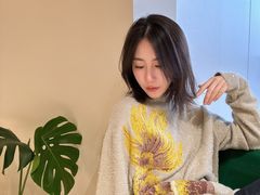 -岭南站NOVA