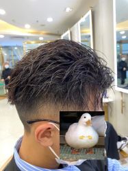 -八佰伴8008星级形象店