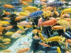 -太平洋海底世界