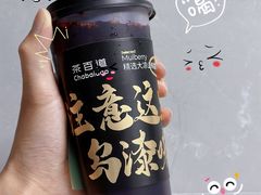 -茶百道(广都店)