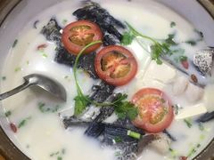 -全乐鱼馆·淳牌有机鱼直营店