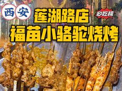 -福苗小骆驼烧烤(莲湖路店)
