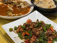 -煲来饱去冷水鱼