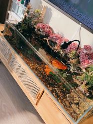 -Lumi露米·美甲美睫品质店