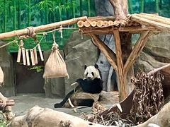 -灵玲国际马戏城