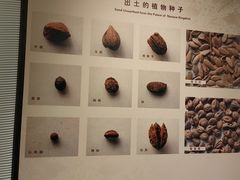 -南越王博物院(王宫展区)