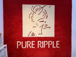 -净漪造型 PURE RIPPLE