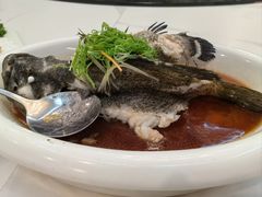 -外沙富龙城酒楼(老街店)