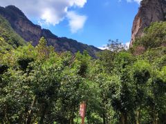 -雁荡山大龙湫景区
