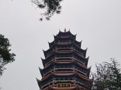 -铁山坪森林公园