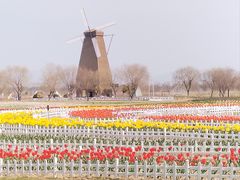 -漩门湾国家湿地公园