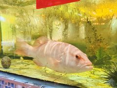 -巽寮印象美食部落餐厅·海鲜·地方特色菜(惠州体验店)