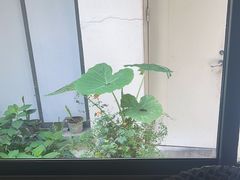 -花迹(富春江东街店)