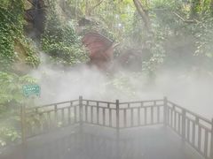 -呀诺达热带雨林