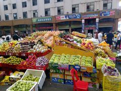 -三亚新鸿港水果一级批发市场