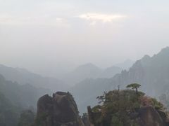 -三清山希尔顿度假酒店