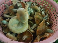 -德叔阙里·衢州菜馆(月湖店)