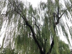 -月坛公园