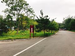 -日照海滨国家森林公园