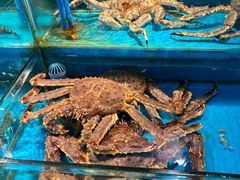 -学府海鲜批发市场