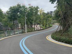 -飞凤山奥体公园