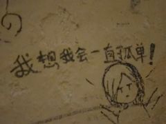 -大灰狼(中心书城店)