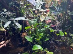 -常州海昌海洋探索馆