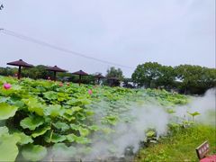 -嘉北郊野公园