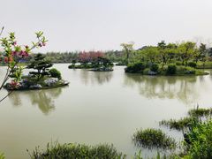 -个园
