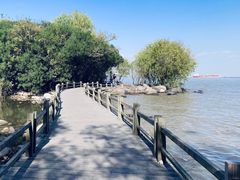 -上海吴淞炮台湾国家湿地公园
