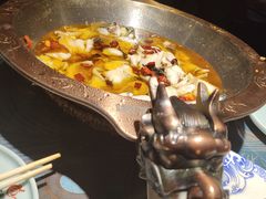 -雲蜀龙阁·金牌水煮鱼(方庄店)