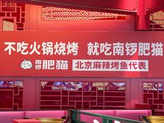 -南锣肥猫·麻辣烤鱼·16年现烤现卖(财富购物中心店)