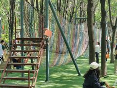 -草根堂农场