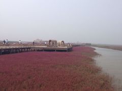 -红海滩国家风景廊道