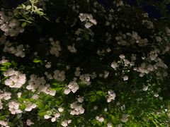 -济南大明湖景区