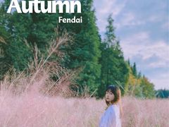 -艾溪湖湿地公园