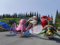 -黄海国家森林公园