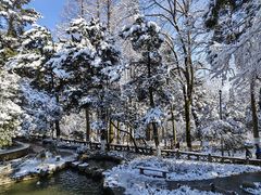 -莫干山风景区