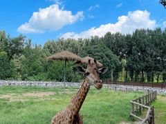 -北京野生动物园