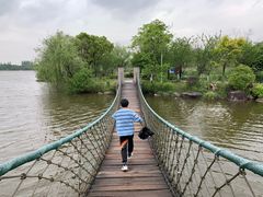 -杭州湾海上花田景区