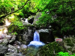 -牛背梁国家森林公园
