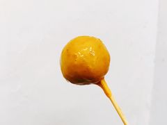 -華叔茶記