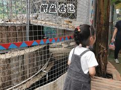 -呀路古热带植物园