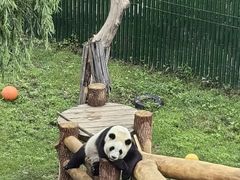 -沈阳森林动物园