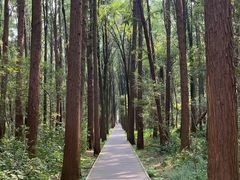 -同里国家湿地公园